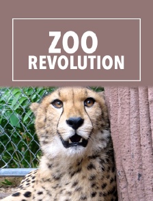 Zoo Revolution