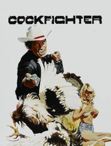 Cockfighter