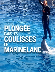 Plongée dans les coulisses de Marineland
