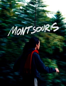 Montsouris