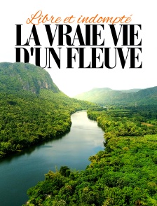 Libre et indompté : La vraie vie d'un fleuve