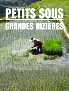 Petits sous, grandes rizières