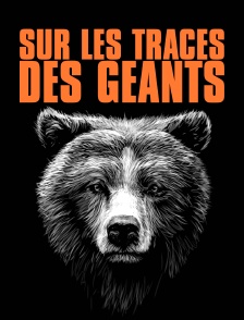 Sur les traces des géants