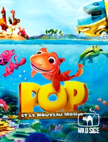 Pop et le nouveau monde