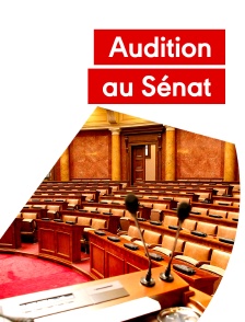 Audition au Sénat