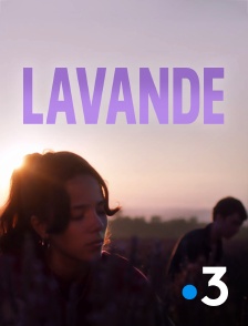 Lavande