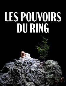 Wagner : les pouvoirs du Ring - 150 ans de la création de "L'anneau du Nibelung"