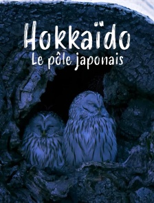 Hokkaido, le pôle japonais