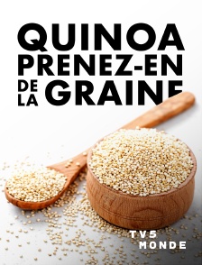 TV5MONDE - Quinoa, prenez-en de la graine