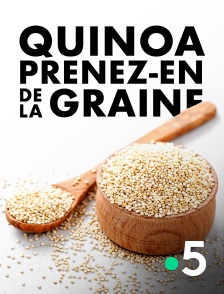 France 5 - Quinoa, prenez-en de la graine