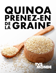TV5MONDE - Quinoa, prenez-en de la graine