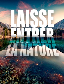 Laisse entrer la nature