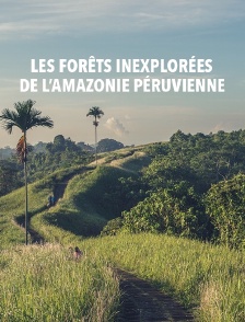 Les forêts inexplorées de l'Amazonie péruvienne