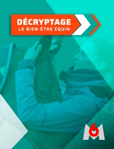 M6 - Le grand débat