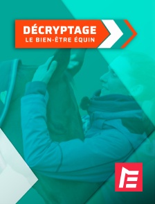 Equidia - Le grand débat