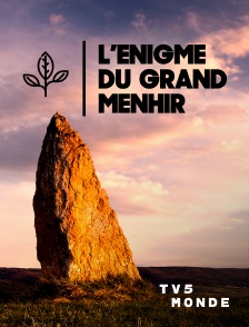 TV5MONDE - L'énigme du grand menhir