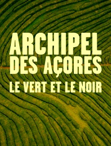 Archipel des Açores - le vert et le noir