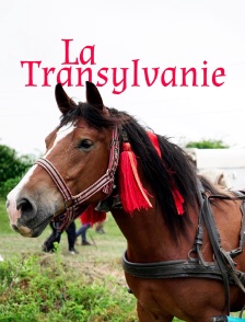 La Transylvanie : Au coeur de la Roumanie