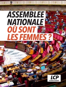 LCP 100% - Assemblée nationale, où sont les femmes ?