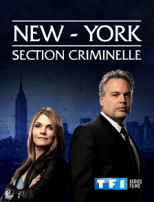 New York, section criminelle