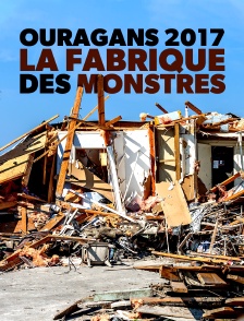 2017, les méga ouragans