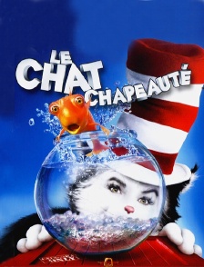 Le chat chapeauté
