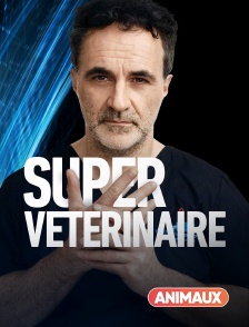 Animaux - Super vétérinaire