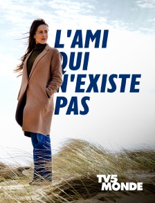 L'ami qui n'existe pas