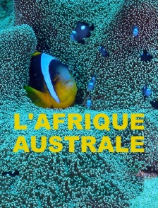 L'Afrique Australe