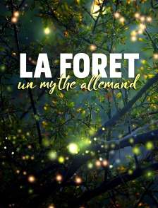 La forêt, un mythe allemand