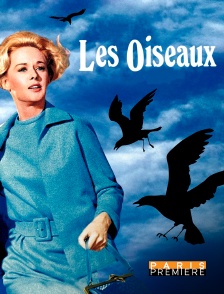 Les oiseaux