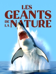 Les géants de la nature