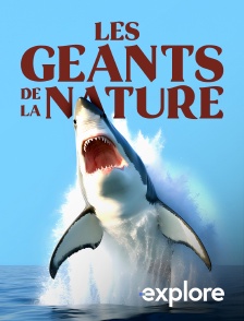 EXPLORE - Les géants de la nature