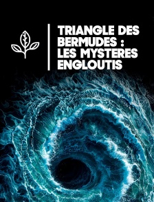 Triangle des Bermudes : les mystères engloutis