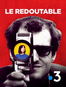 Le Redoutable