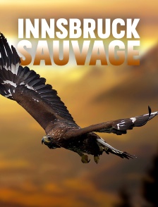 Innsbruck sauvage