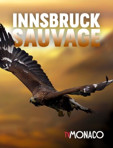 TV Monaco - Innsbruck sauvage