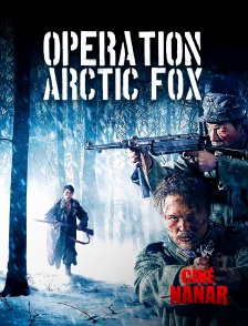 Ciné Nanar - Opération Arctic Fox