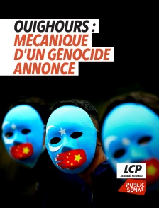 Ouïghours : Mécanique d'un génocide annoncé
