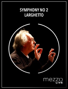 Symphony no 2 : Larghetto