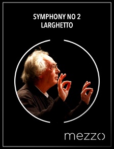 Mezzo - Symphony no 2 : Larghetto