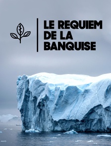 Le requiem de la banquise