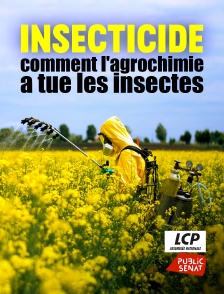 LCP Public Sénat - Insecticide, comment l'agrochimie a tué les insectes