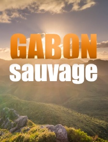 Gabon sauvage