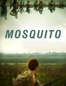 Mosquito