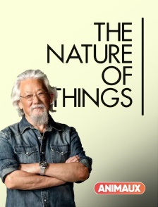 The Nature of Things