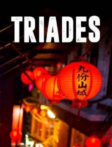 Triades La mafia chinoise à la conquête du monde