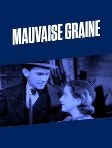 Mauvaise graine