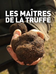 Les maîtres de la truffe