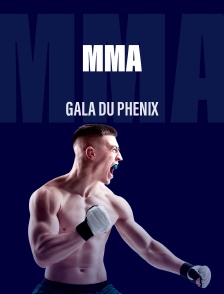 Sports de combat - Gala du Phénix